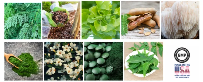 Mindquell-Ingredients